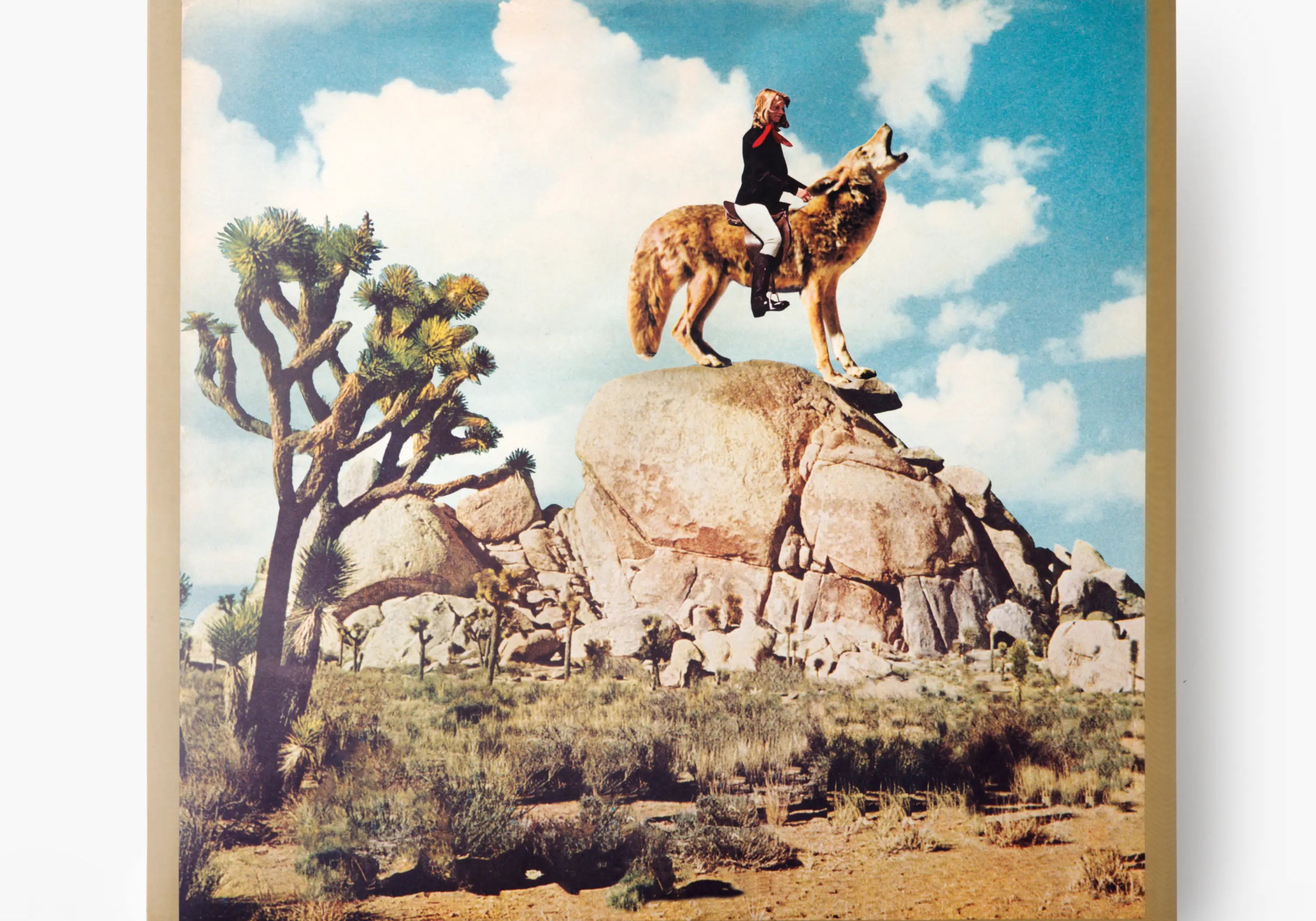 CoyoteFrontCover.webp